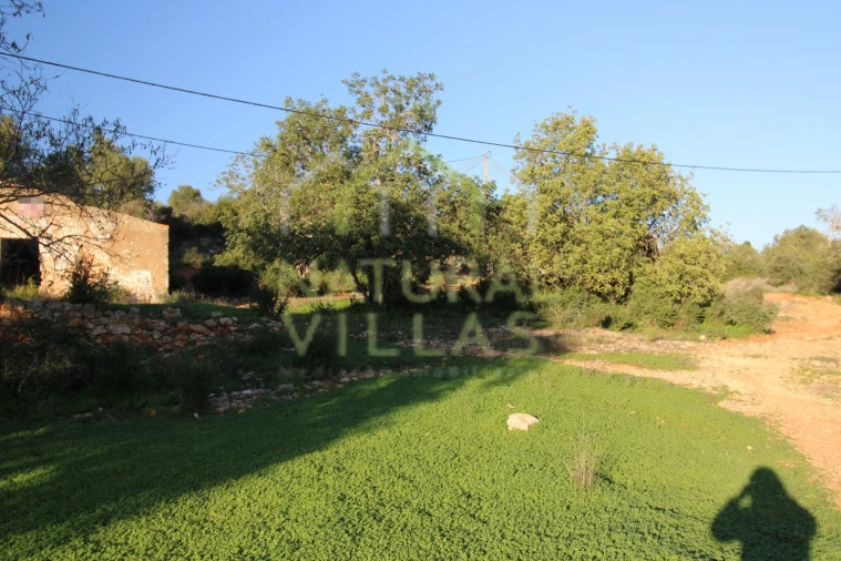 Terreno Misto para Venda em Pechão Foto 4