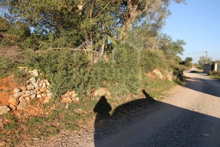 Terreno Misto para Venda em Pechão Foto 6