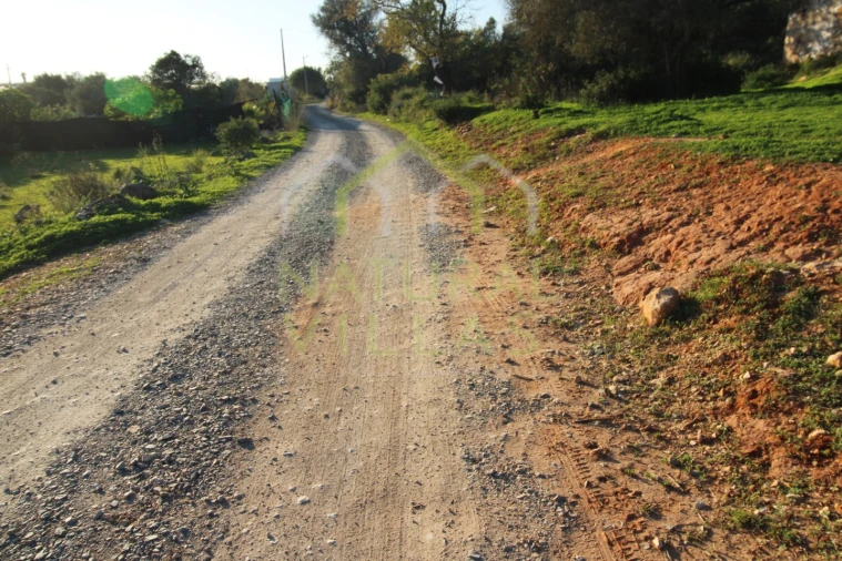 Terreno Misto para Venda em Pechão Foto 5