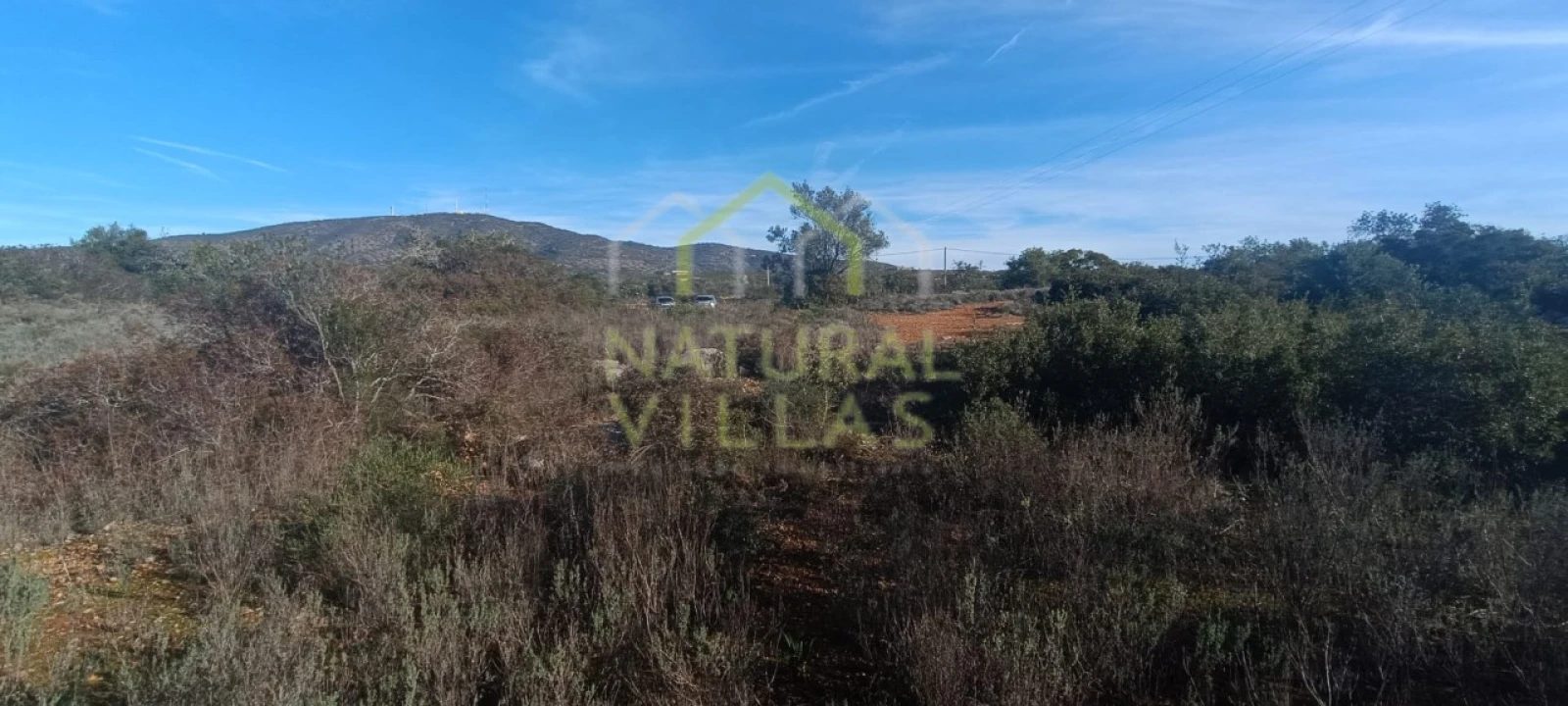 Terreno Agricola ou Rústico para Venda em Quelfes Foto 3