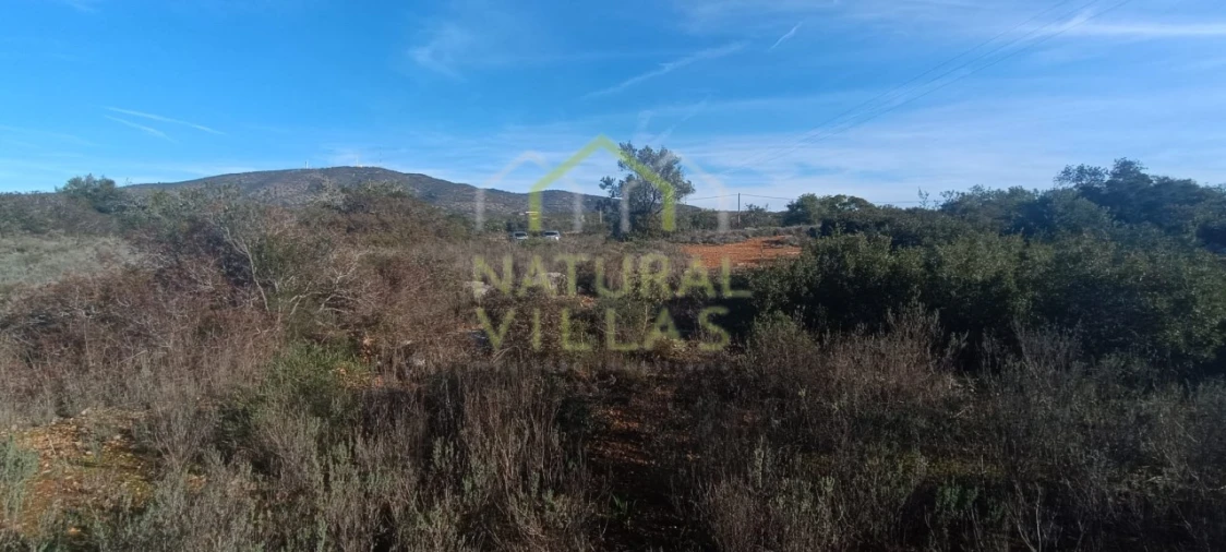 Terreno Agricola ou Rústico para Venda em Quelfes Foto 3