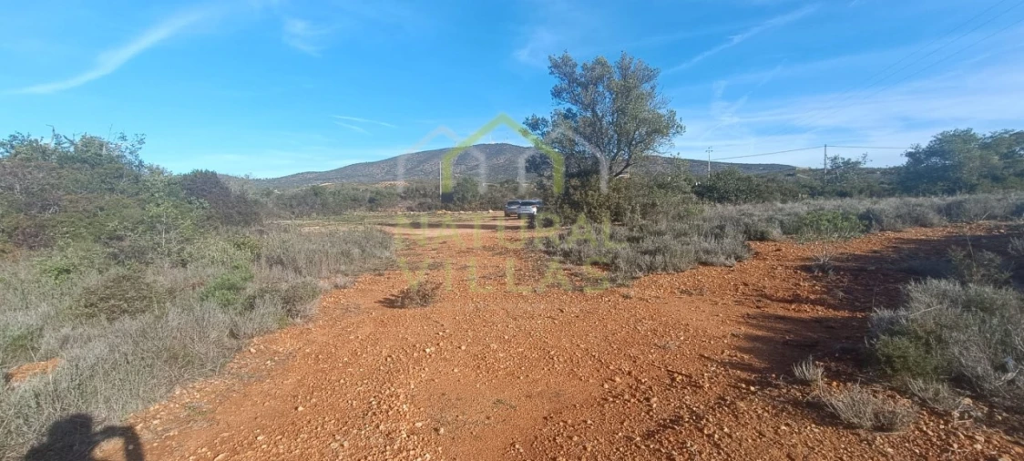 Terreno Agricola ou Rústico para Venda em Quelfes Foto 2
