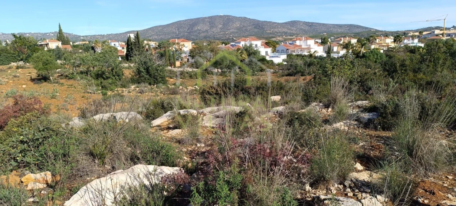 Terreno Agricola ou Rústico para Venda em Quelfes Foto 2