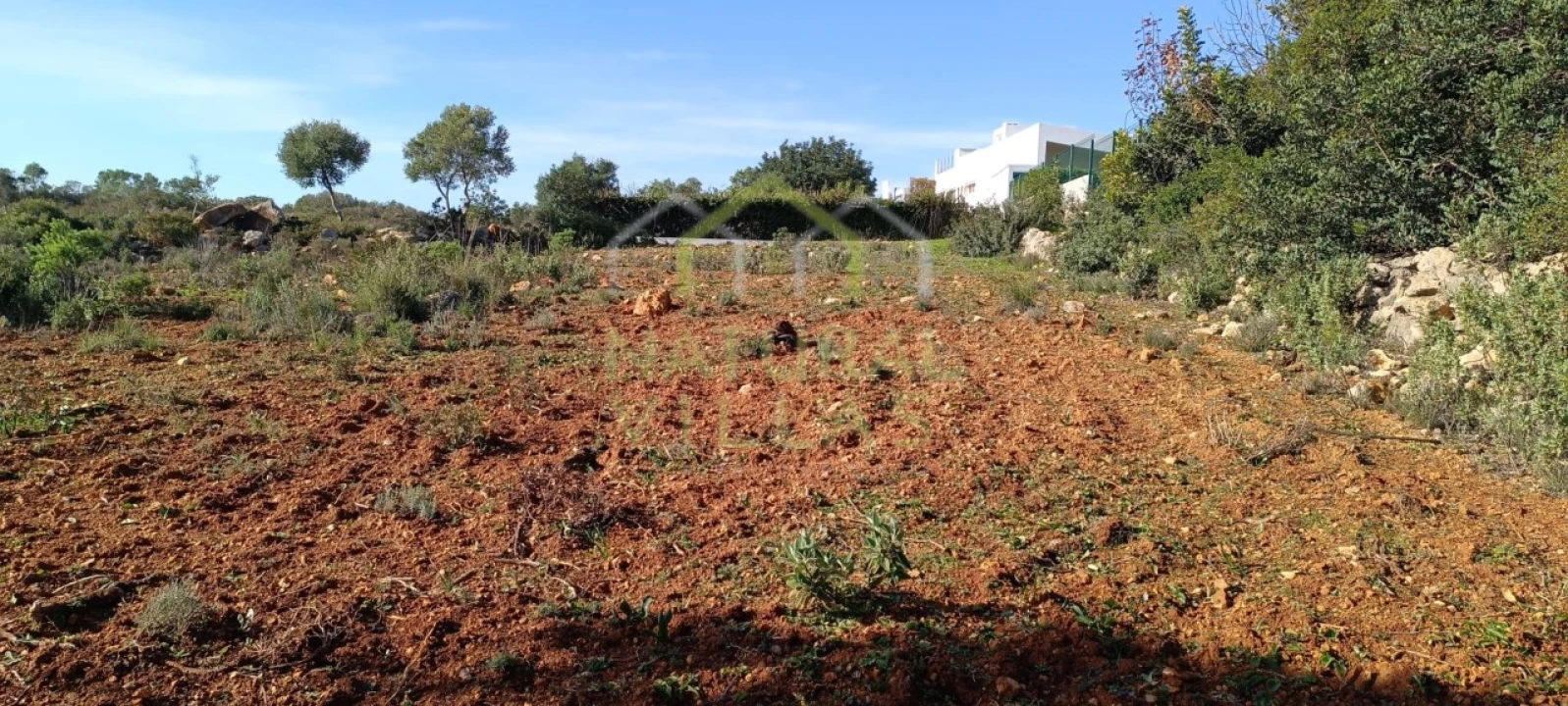 Terreno Agricola ou Rústico para Venda em Quelfes Foto 3
