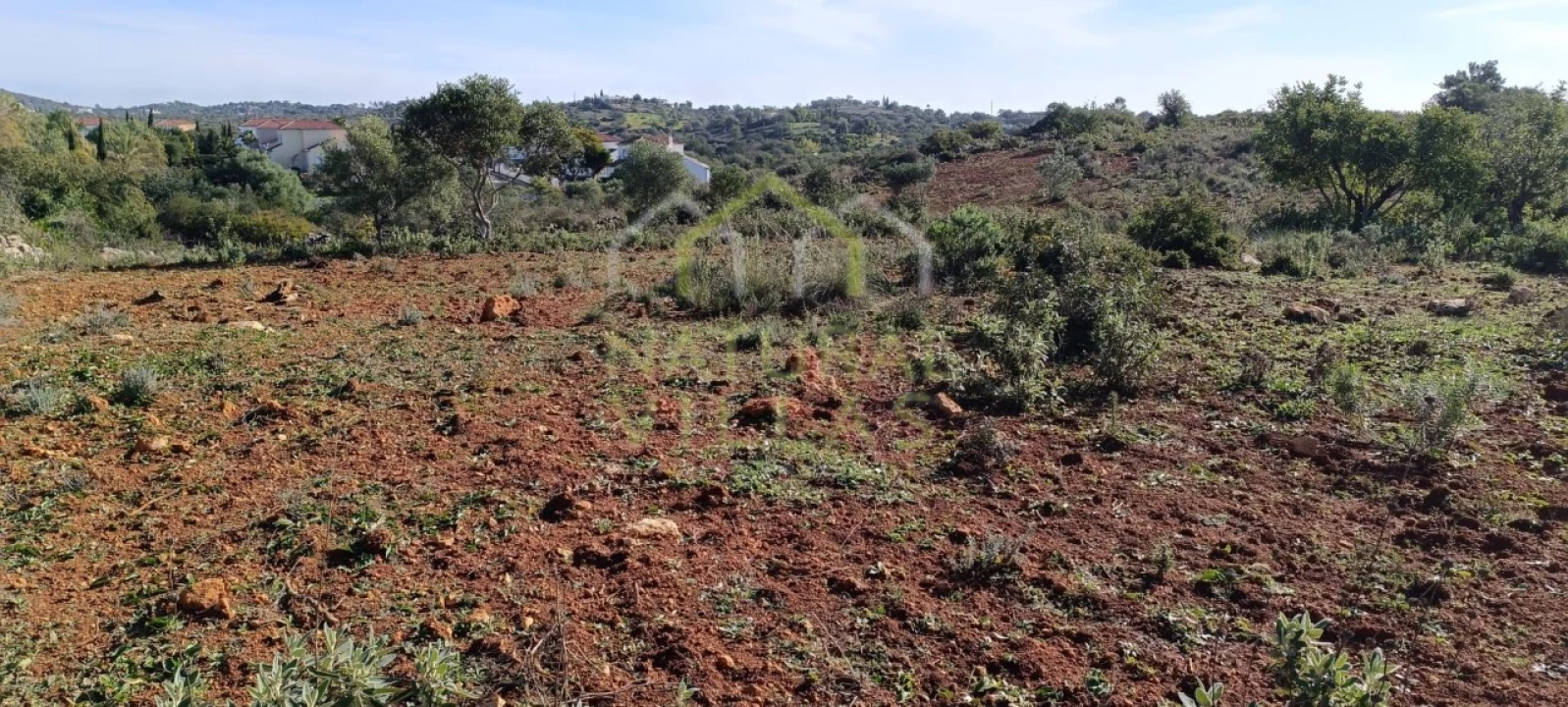Terreno Agricola ou Rústico para Venda em Quelfes Foto 4