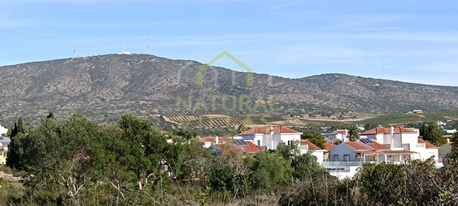 Terreno Agricola ou Rústico para Venda em Quelfes Foto 5