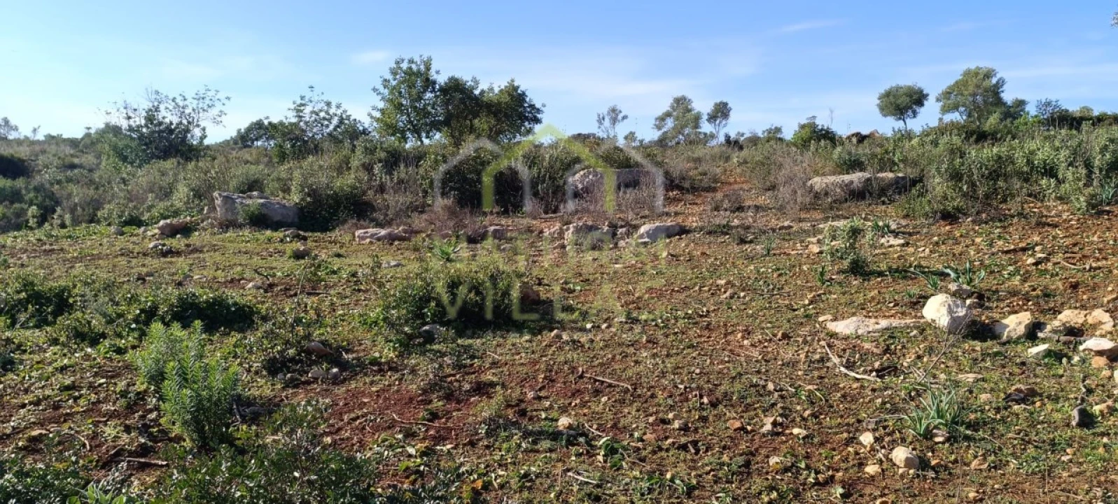 Terreno Agricola ou Rústico para Venda em Quelfes Foto 6