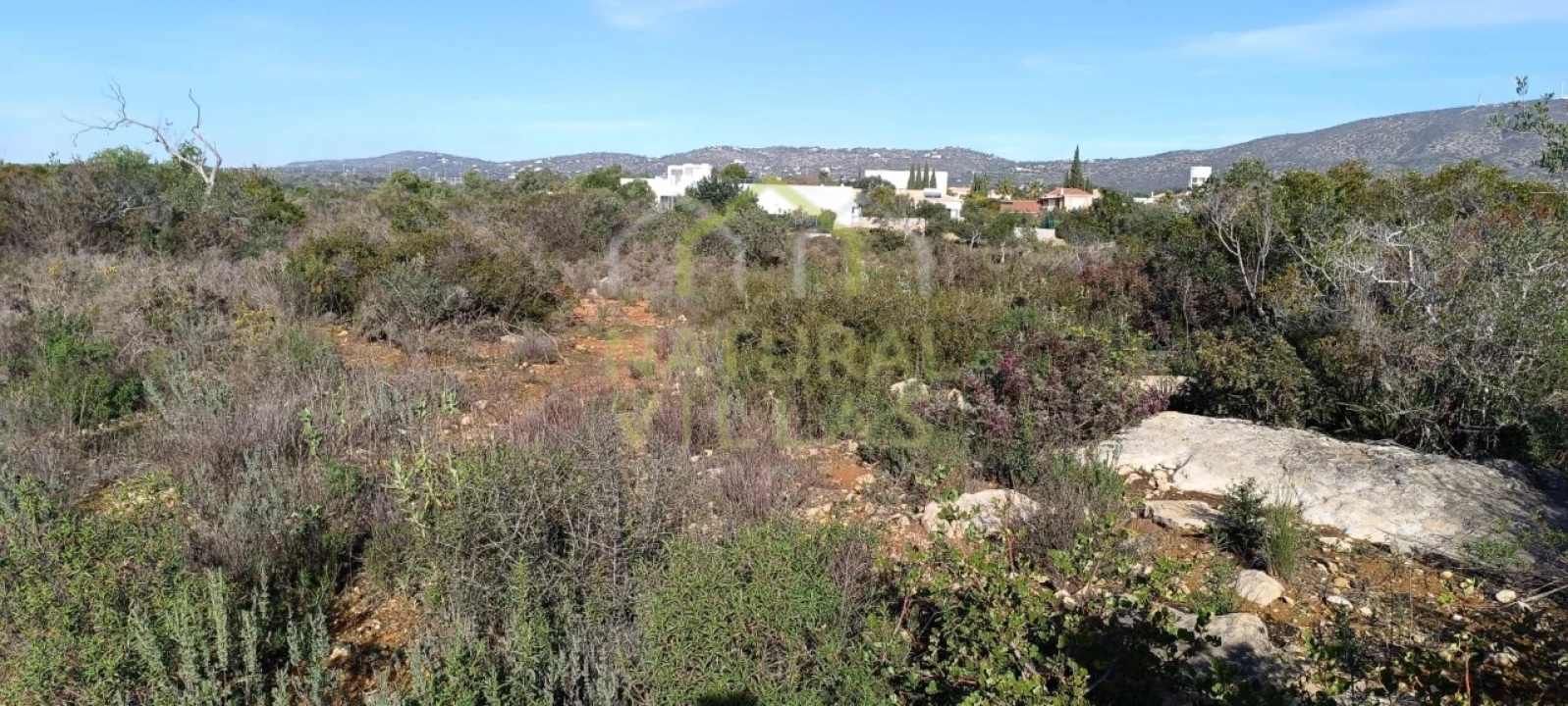 Terreno Agricola ou Rústico para Venda em Quelfes Foto 8