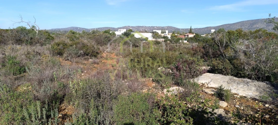Terreno Agricola ou Rústico para Venda em Quelfes Foto 8