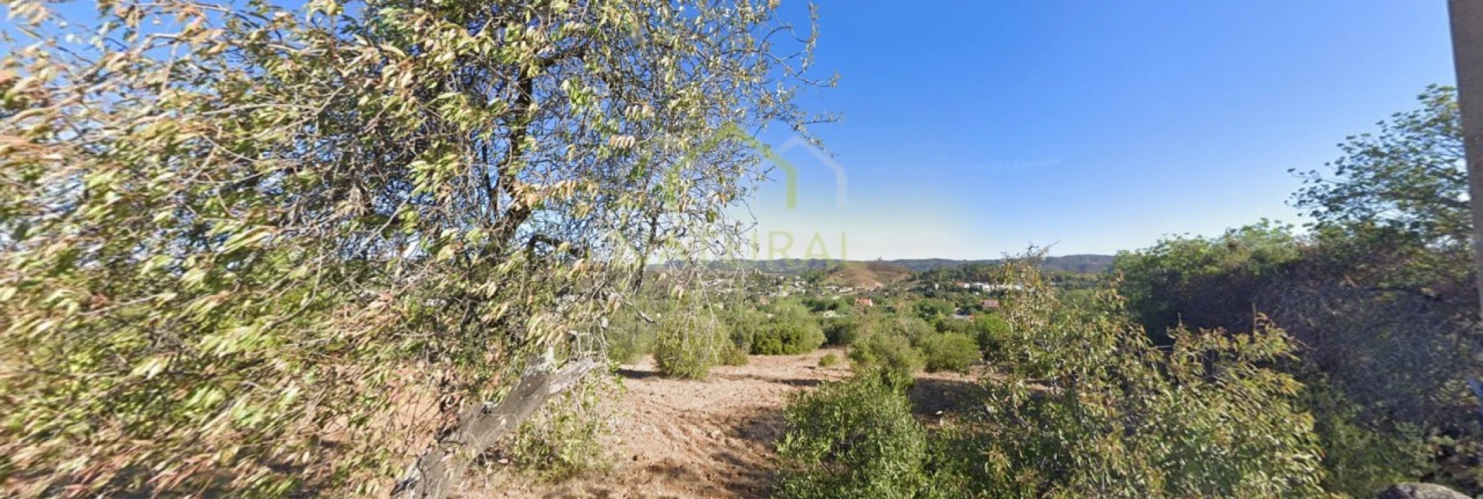 Terreno Agricola ou Rústico para Venda em São Brás de Alportel Foto 1