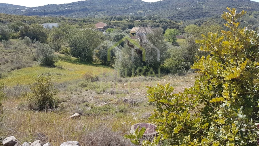 Terreno Agricola ou Rústico para Venda em São Brás de Alportel Foto 2