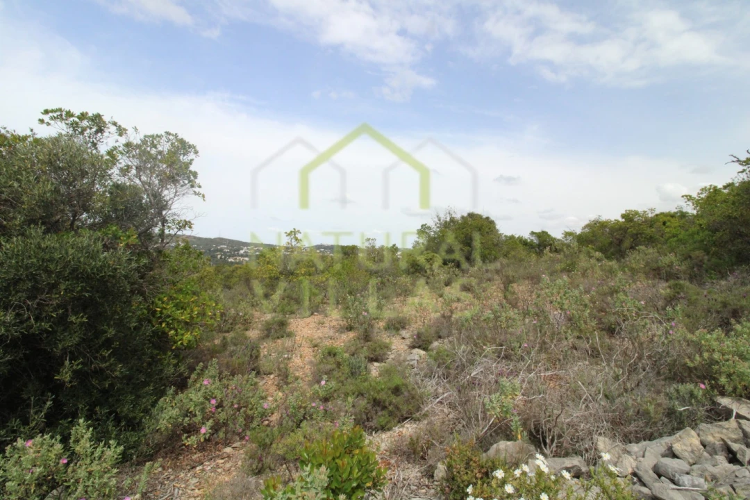Terreno Agricola ou Rústico para Venda em São Brás de Alportel Foto 5