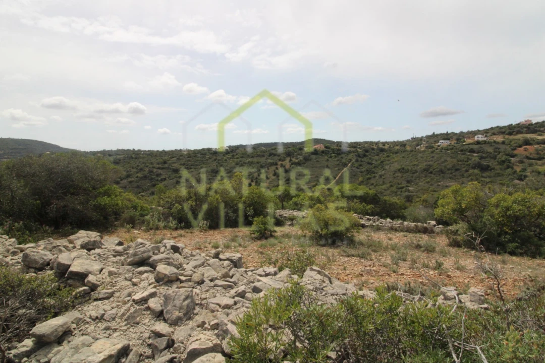 Terreno Agricola ou Rústico para Venda em São Brás de Alportel Foto 4