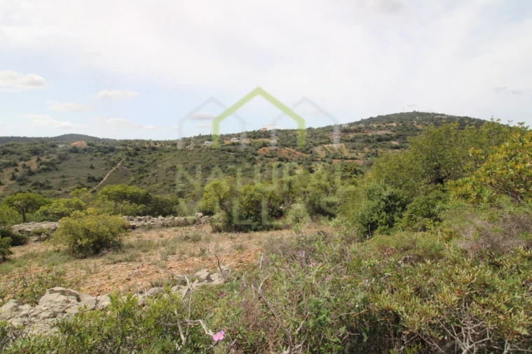 Terreno Agricola ou Rústico para Venda em São Brás de Alportel Foto 2