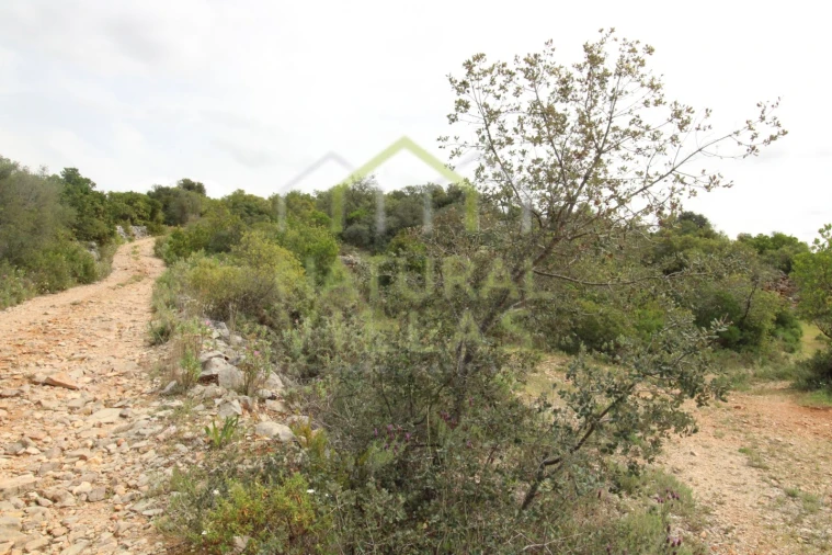 Terreno Agricola ou Rústico para Venda em São Brás de Alportel Foto 3
