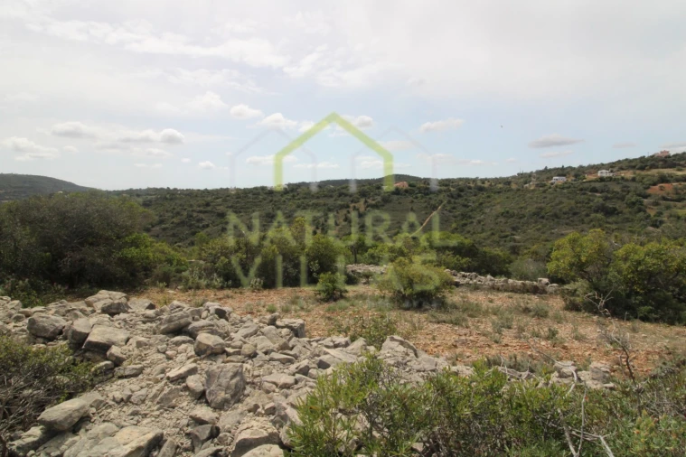 Terreno Agricola ou Rústico para Venda em São Brás de Alportel Foto 4