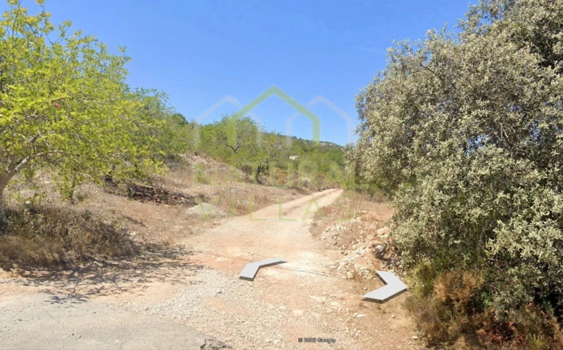 Terreno Agricola ou Rústico para Venda em São Brás de Alportel Foto 1