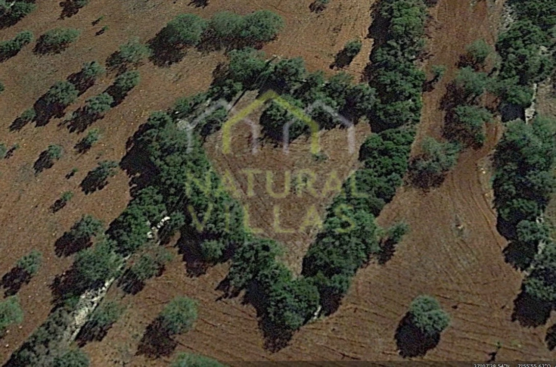 Terreno Agricola ou Rústico para Venda em Santa Barbara de Nexe Foto 2