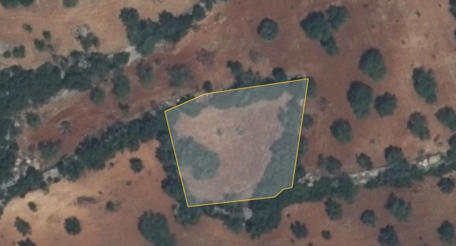Terreno Agricola ou Rústico para Venda em Santa Barbara de Nexe Planta 1