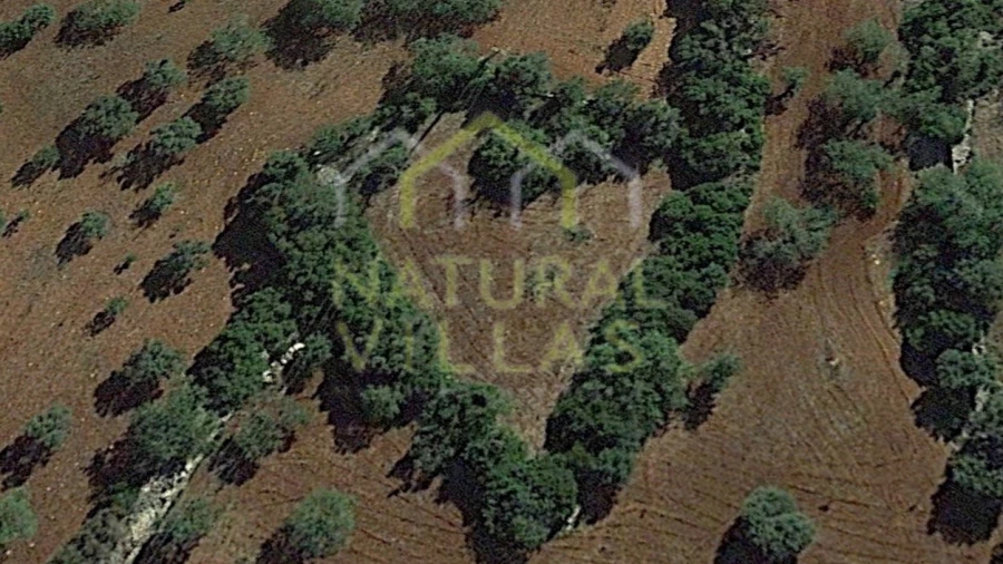Terreno Agricola ou Rústico para Venda em Santa Barbara de Nexe