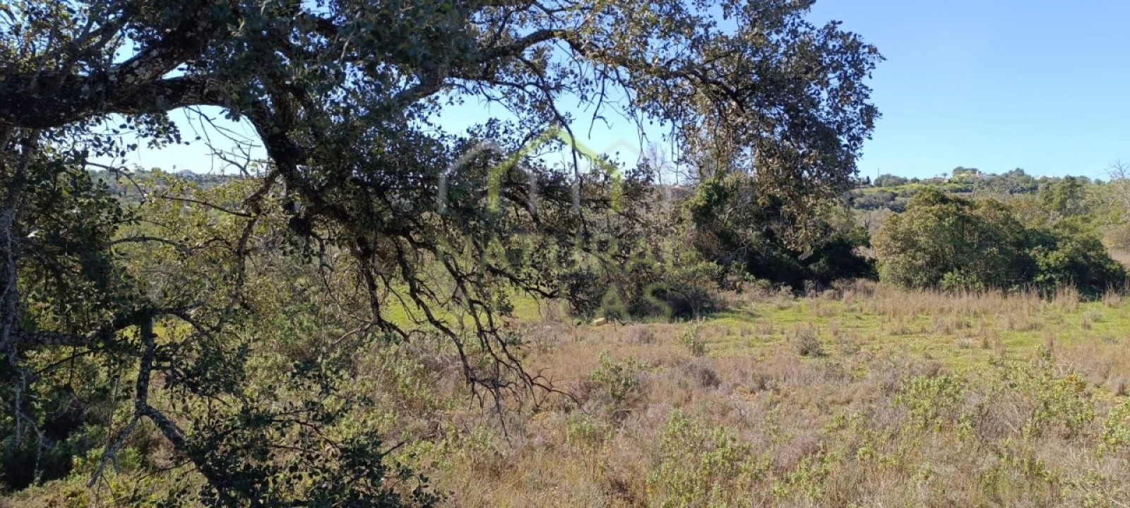 Terreno Agricola ou Rústico para Venda em Santa Barbara de Nexe Foto 3