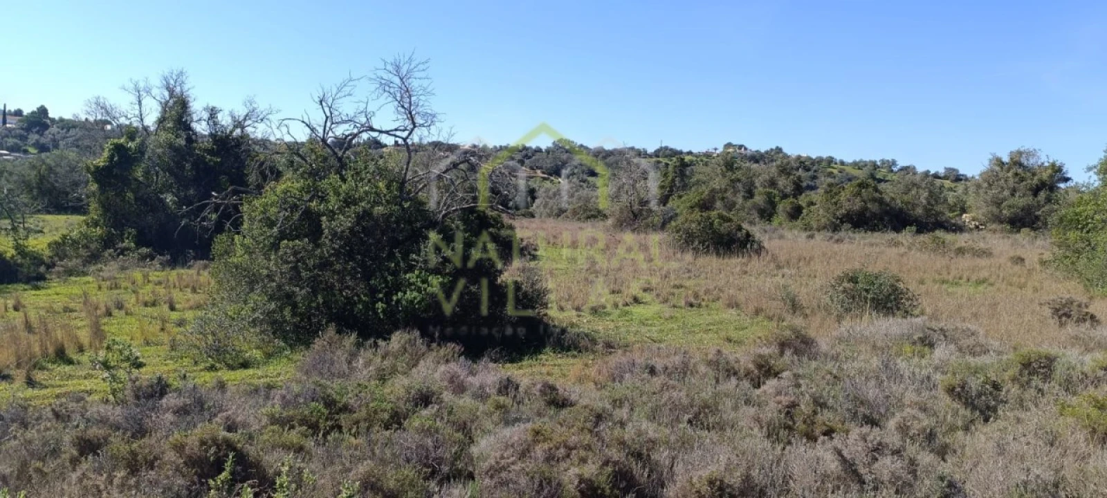 Terreno Agricola ou Rústico para Venda em Santa Barbara de Nexe Foto 1