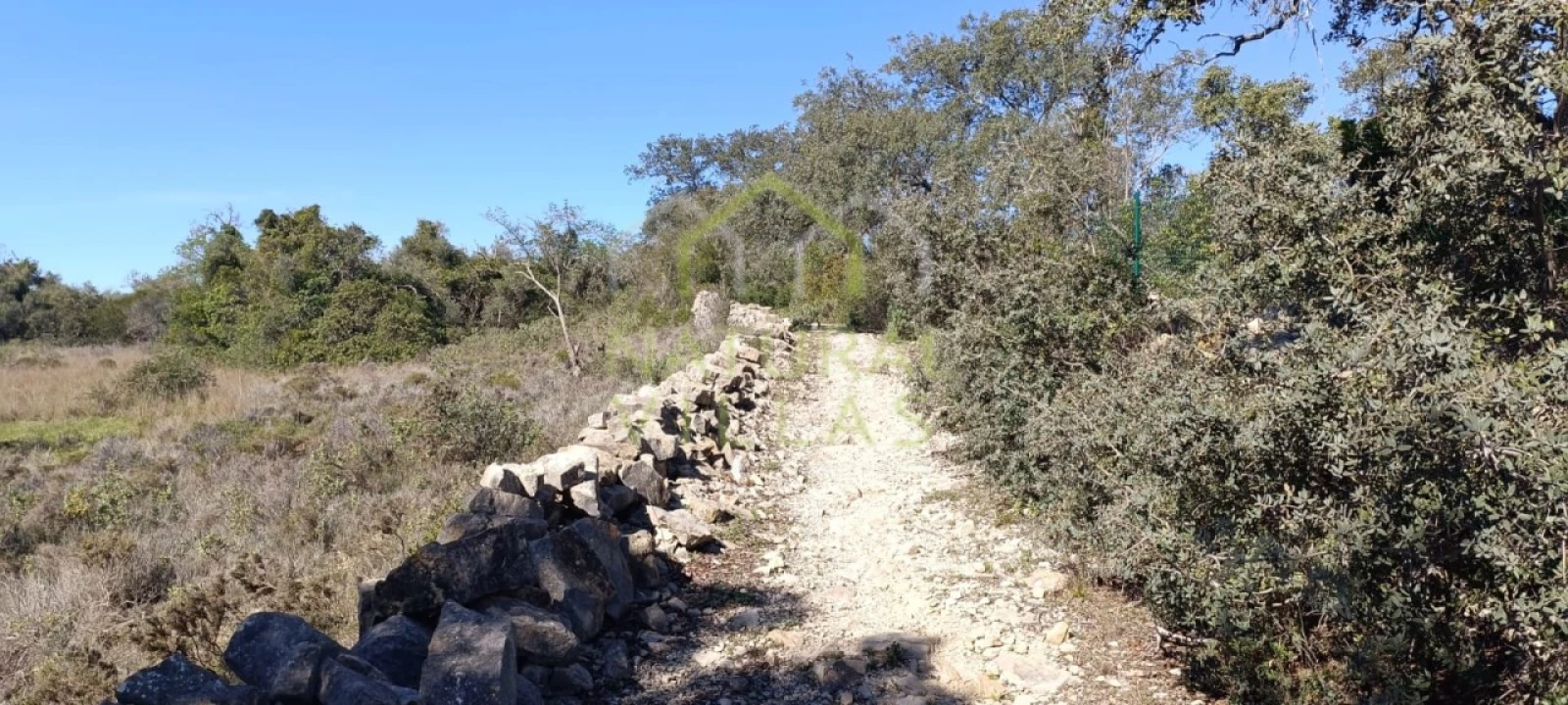 Terreno Agricola ou Rústico para Venda em Santa Barbara de Nexe Foto 2