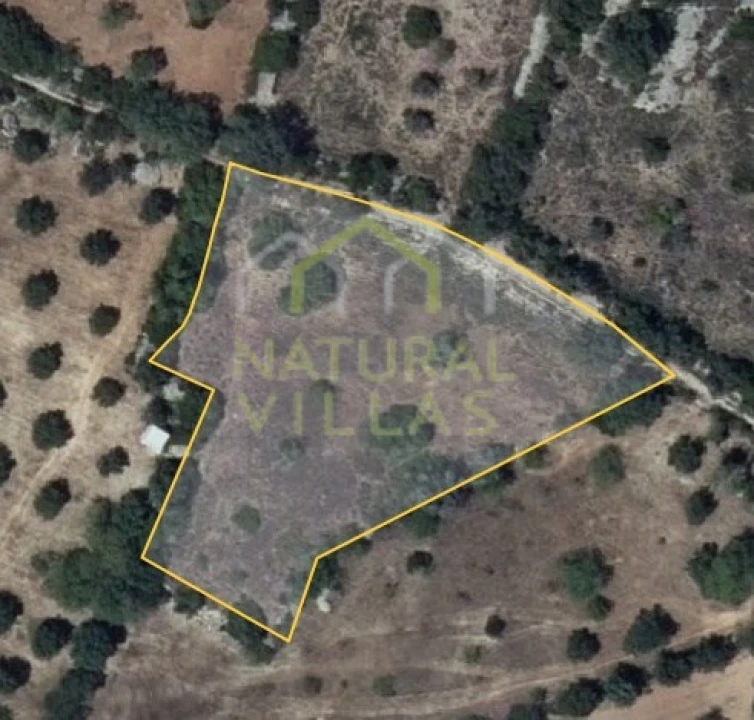 Terreno Agricola ou Rústico para Venda em Santa Barbara de Nexe Foto 7