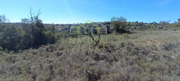 Terreno Agricola ou Rústico para Venda em Santa Barbara de Nexe