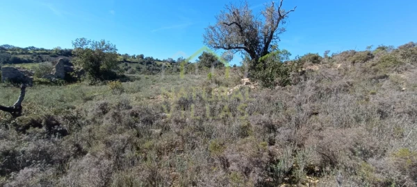 Terreno Agricola ou Rústico para Venda em Santa Barbara de Nexe
