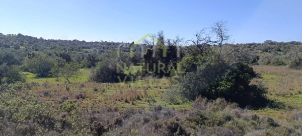 Terreno Agricola ou Rústico para Venda em Santa Barbara de Nexe