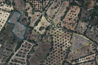 Terreno Agricola ou Rústico para Venda em Santa Barbara de Nexe