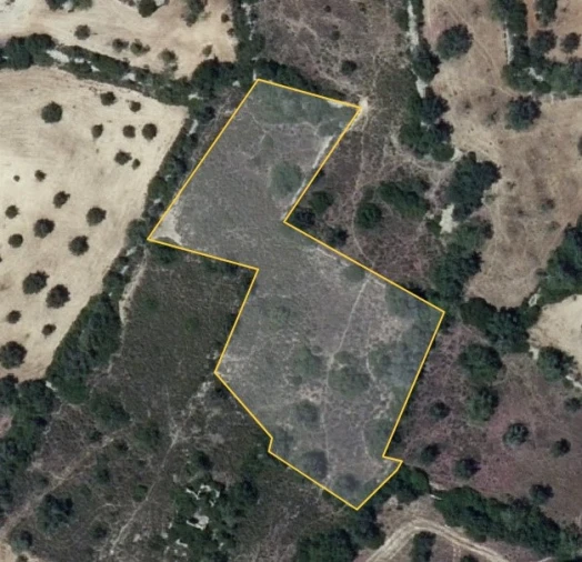Terreno Agricola ou Rústico para Venda em Santa Barbara de Nexe Planta 3