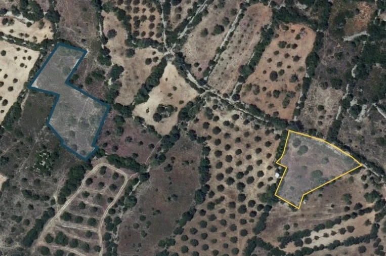 Terreno Agricola ou Rústico para Venda em Santa Barbara de Nexe Planta 1