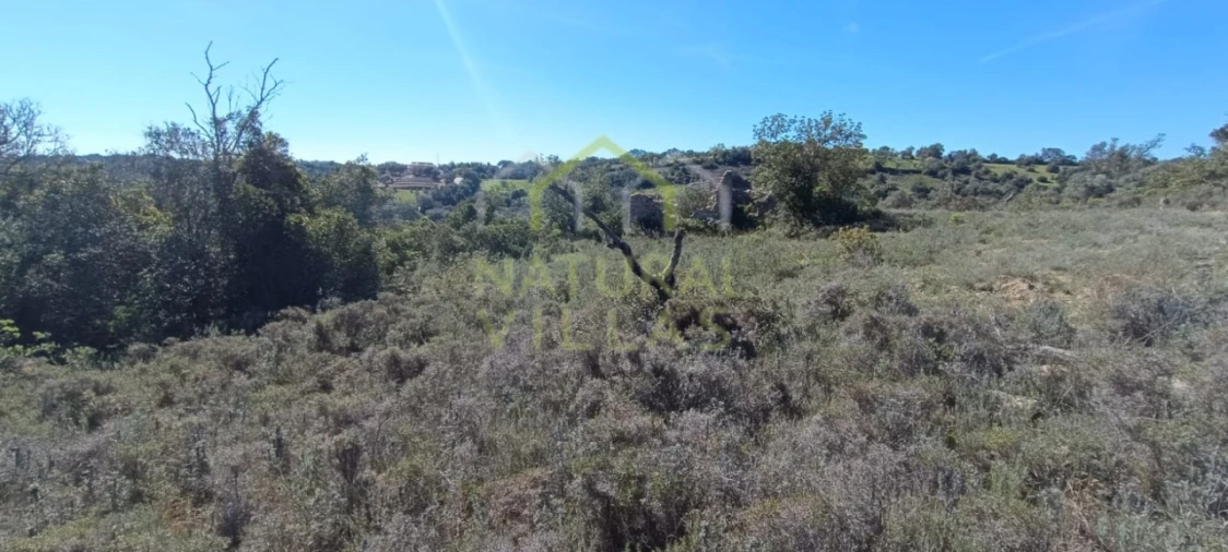 Terreno Agricola ou Rústico para Venda em Santa Barbara de Nexe Foto 9