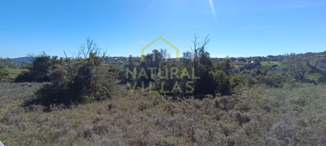 Terreno Agricola ou Rústico para Venda em Santa Barbara de Nexe Foto 10