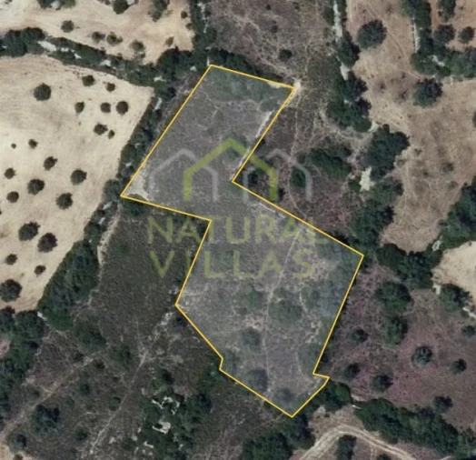 Terreno Agricola ou Rústico para Venda em Santa Barbara de Nexe Foto 8