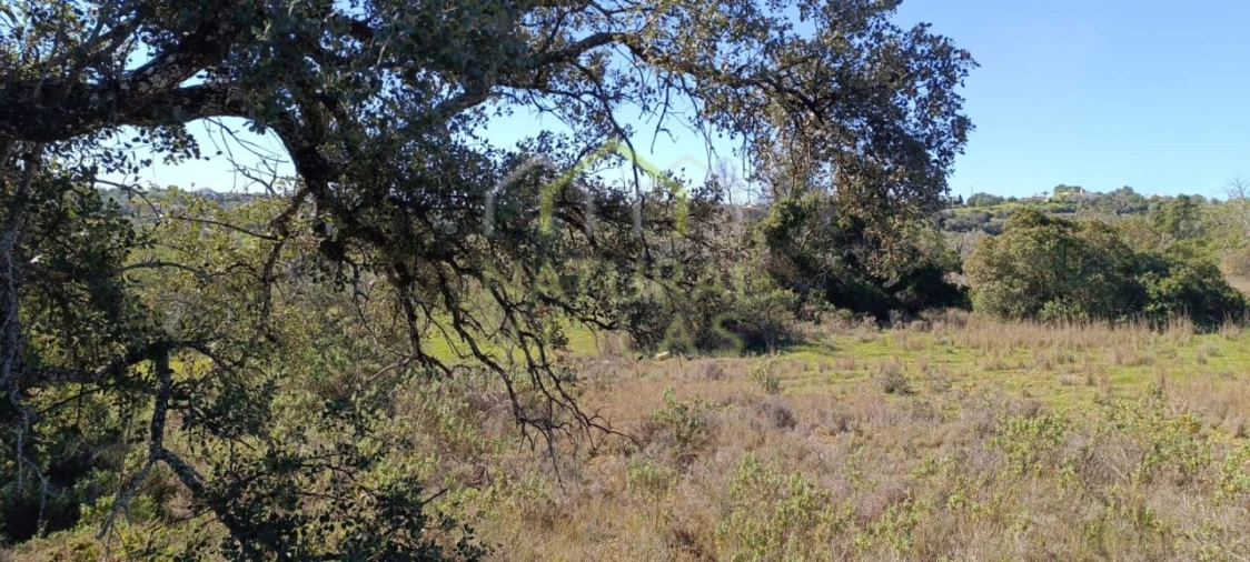 Terreno Agricola ou Rústico para Venda em Santa Barbara de Nexe Foto 3