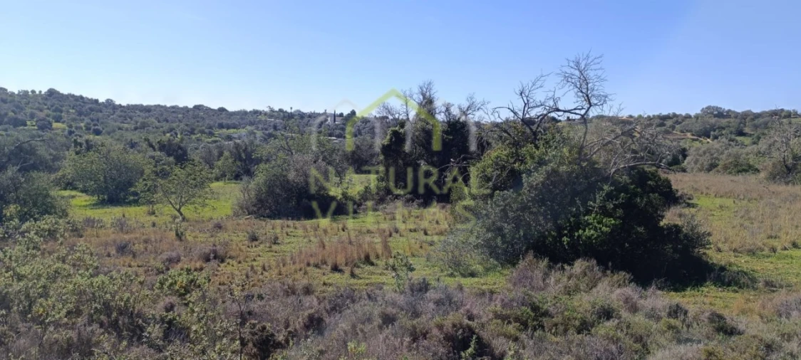 Terreno Agricola ou Rústico para Venda em Santa Barbara de Nexe Foto 5