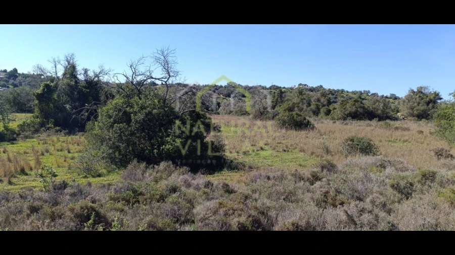 Terreno Agricola ou Rústico para Venda em Santa Barbara de Nexe
