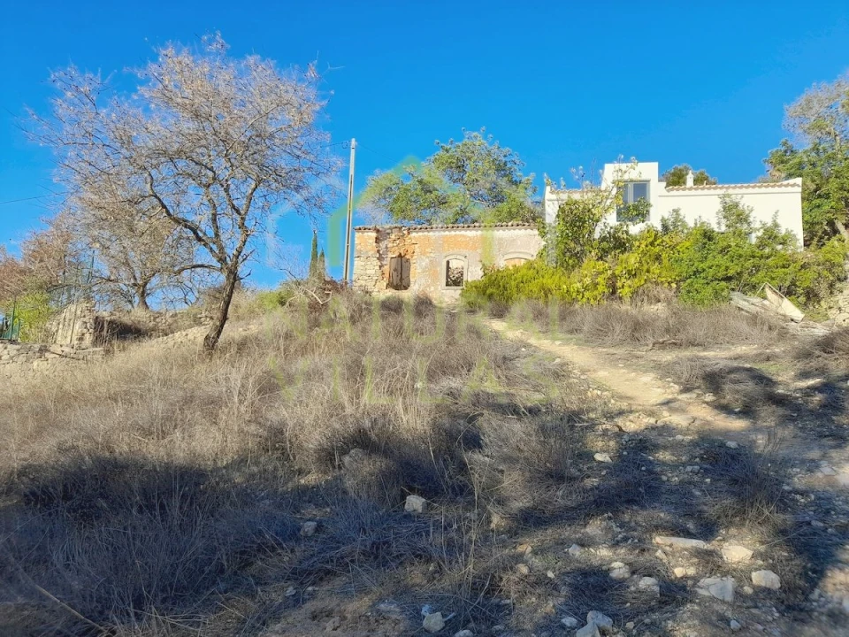 Terreno para Venda em Loule (São Sebastião) Foto 6