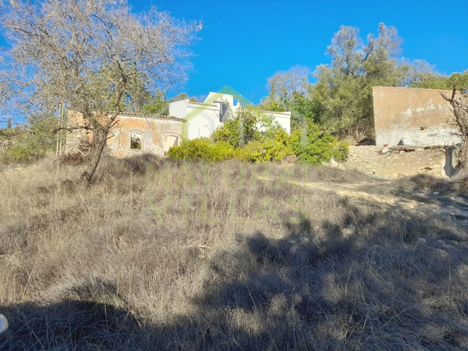 Terreno para Venda em Loule (São Sebastião) Foto 5