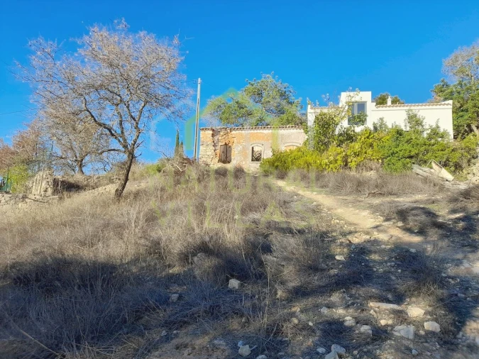 Terreno para Venda em Loule (São Sebastião) Foto 6