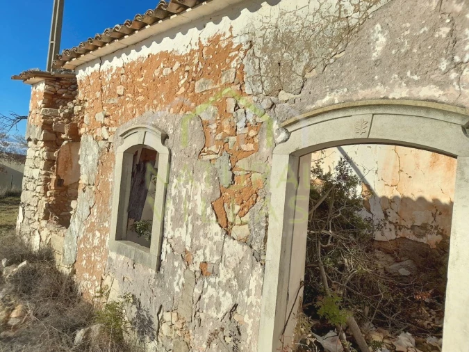 Terreno para Venda em Loule (São Sebastião) Foto 2