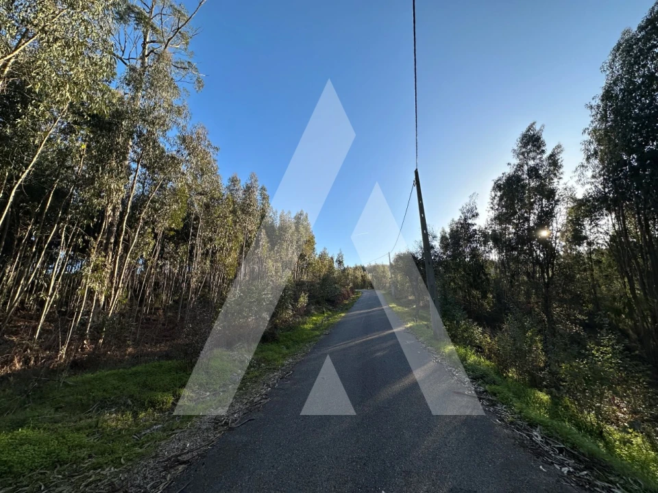 Terreno para Venda em Pussos São Pedro Foto 3