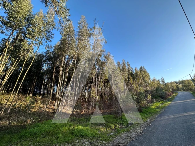 Terreno para Venda em Pussos São Pedro