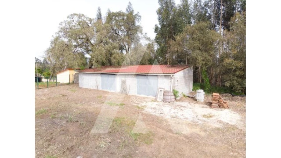 Terreno para Venda em Maçãs de D. Maria Foto 10