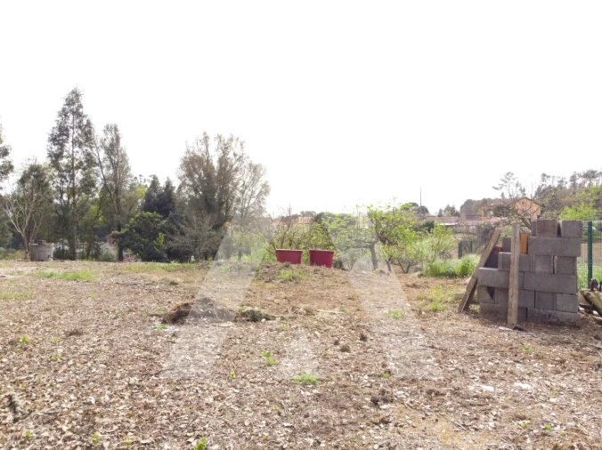 Terreno para Venda em Maçãs de D. Maria Foto 12