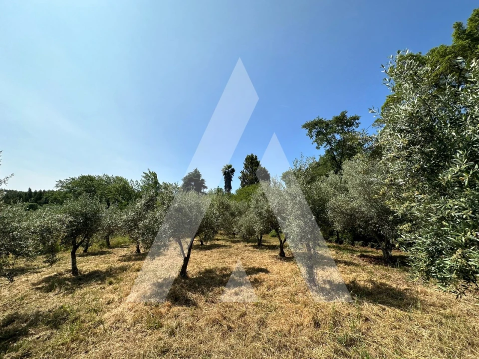 Terreno para Venda em Pussos São Pedro Foto 5