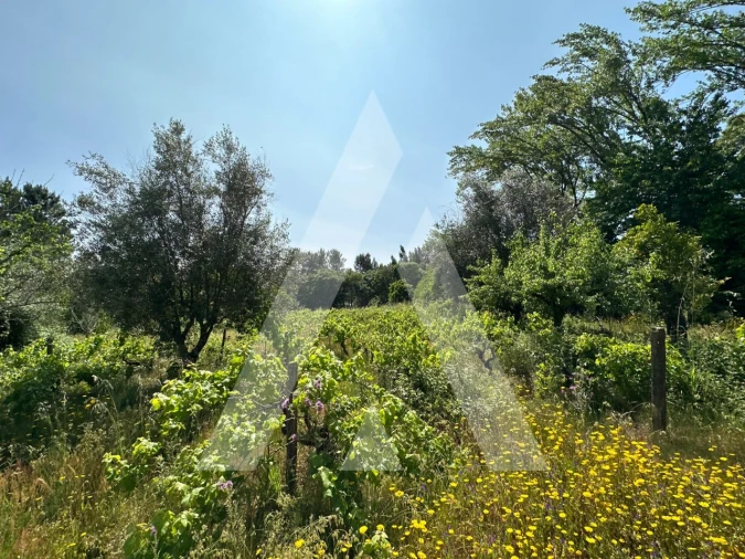 Terreno para Venda em Pussos São Pedro Foto 12